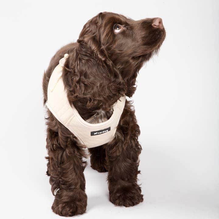 Nordog – wholesale Sele - Hund – Park hundsele beige5