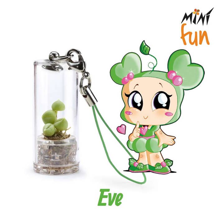 Minì Fun Eve - Mini plant for the tender and delicate for wholesale by MINÌ®Italia di Luigi Paolicchi