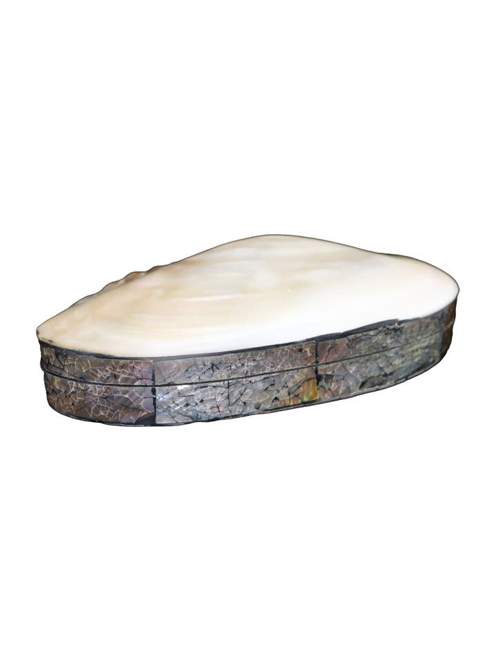 Joyero Shell - Natural para venta al por mayor de Cantiq Living