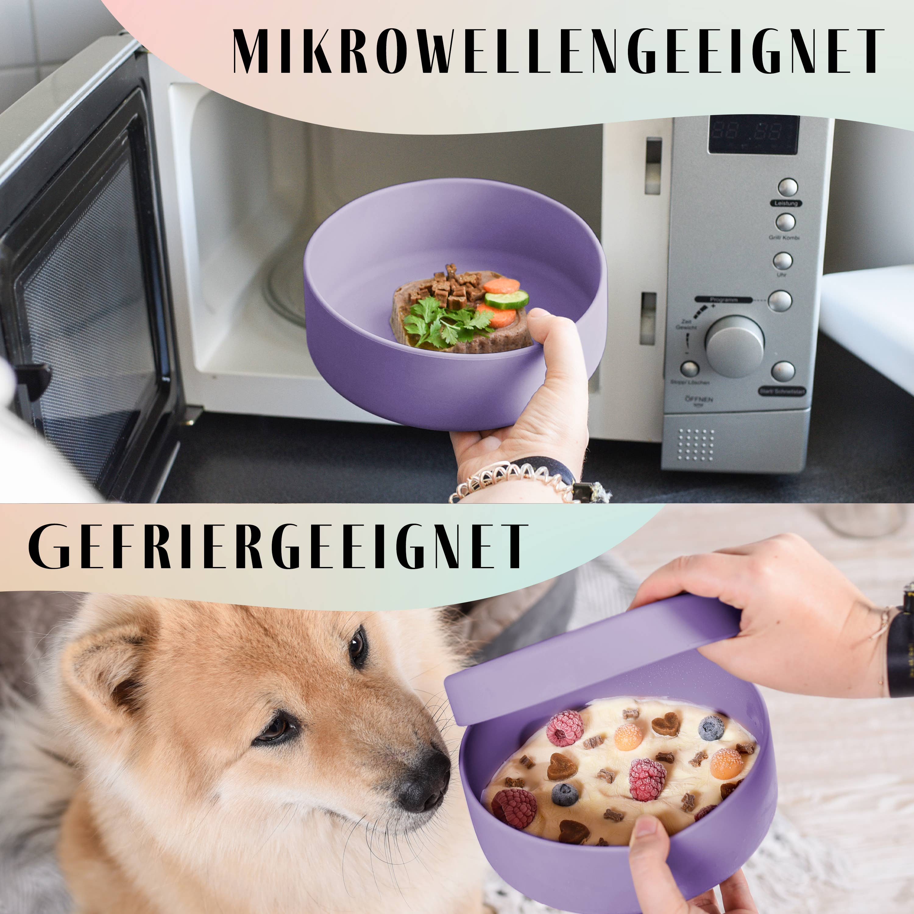 ne&no - Wholesale Pet Bowl - Cat/Dog - ne&no® Silicone Feeding Bowl with Lid for Dogs & Cats12