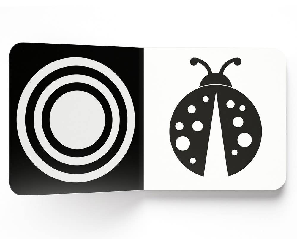 Independent Publishers Group - Wholesale Baby & Toddler Book (0-2) - Baby’s First High-Contrast Books1