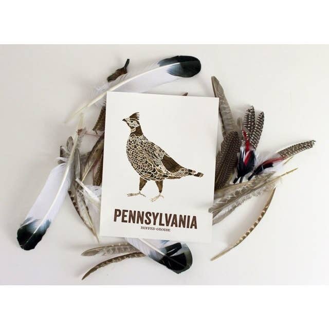 Pennsylvania State Bird, Map Prints - Ruffed Grouse for wholesale by Wooden Pencil Company