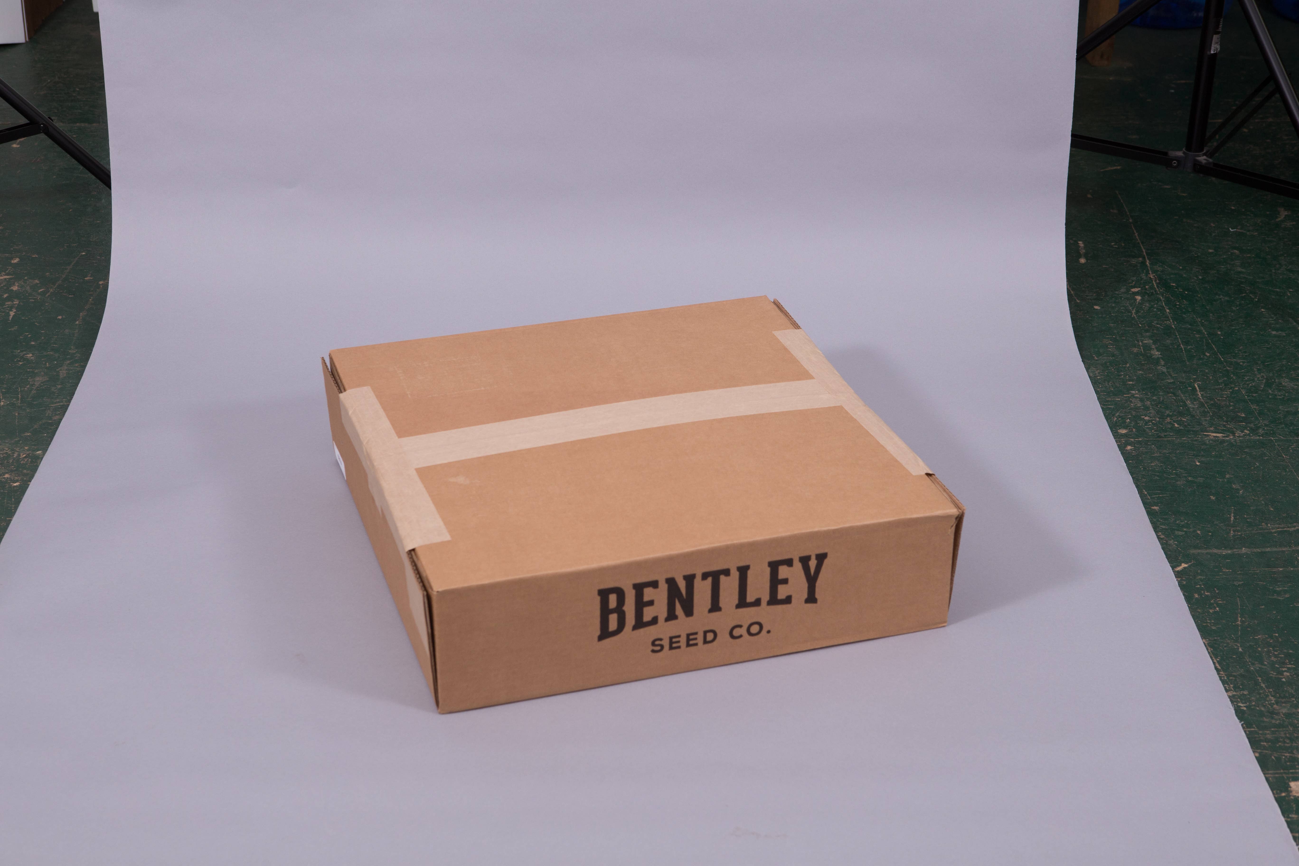 Bentley Seed Co. - Wholesale Retailer Display - Home & Living - 500 Assorted Flowers, Veggies & Herb Seed Packet Display5