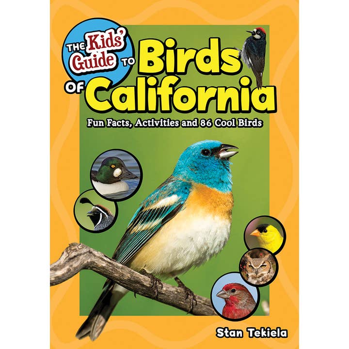 Kids' Guide to Birds of California for wholesale by AdventureKEEN