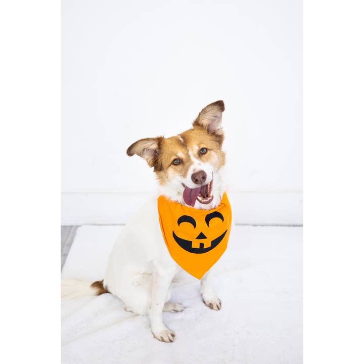 Pearhead - Wholesale Pet Bandana - Dog - Pumpkin Dog Halloween Bandana, M/L