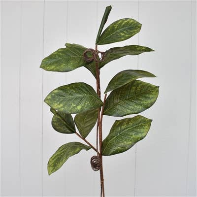 David Christopher's Collection - Wholesale Artificial Plant - 39" Magnolia Leaf Branch1