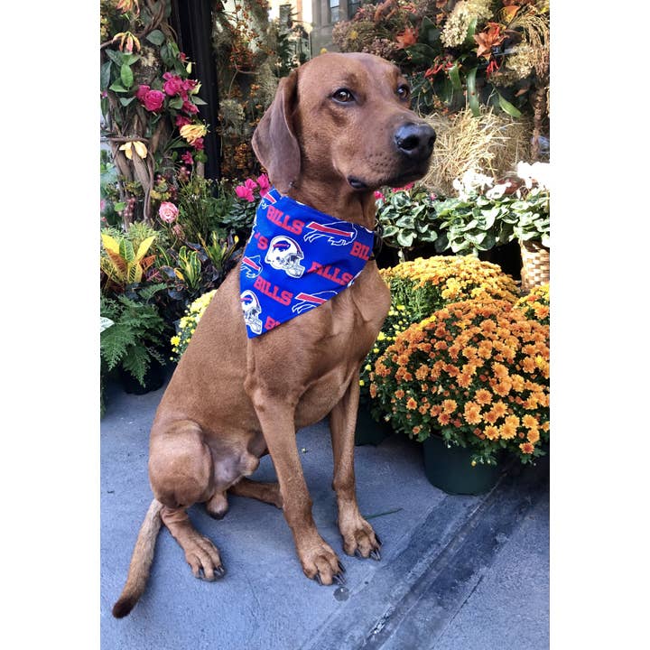 Koa's Ruff Life - Wholesale Pet Bandana - Dog - Buffalo Bills Bandana - Football Collection