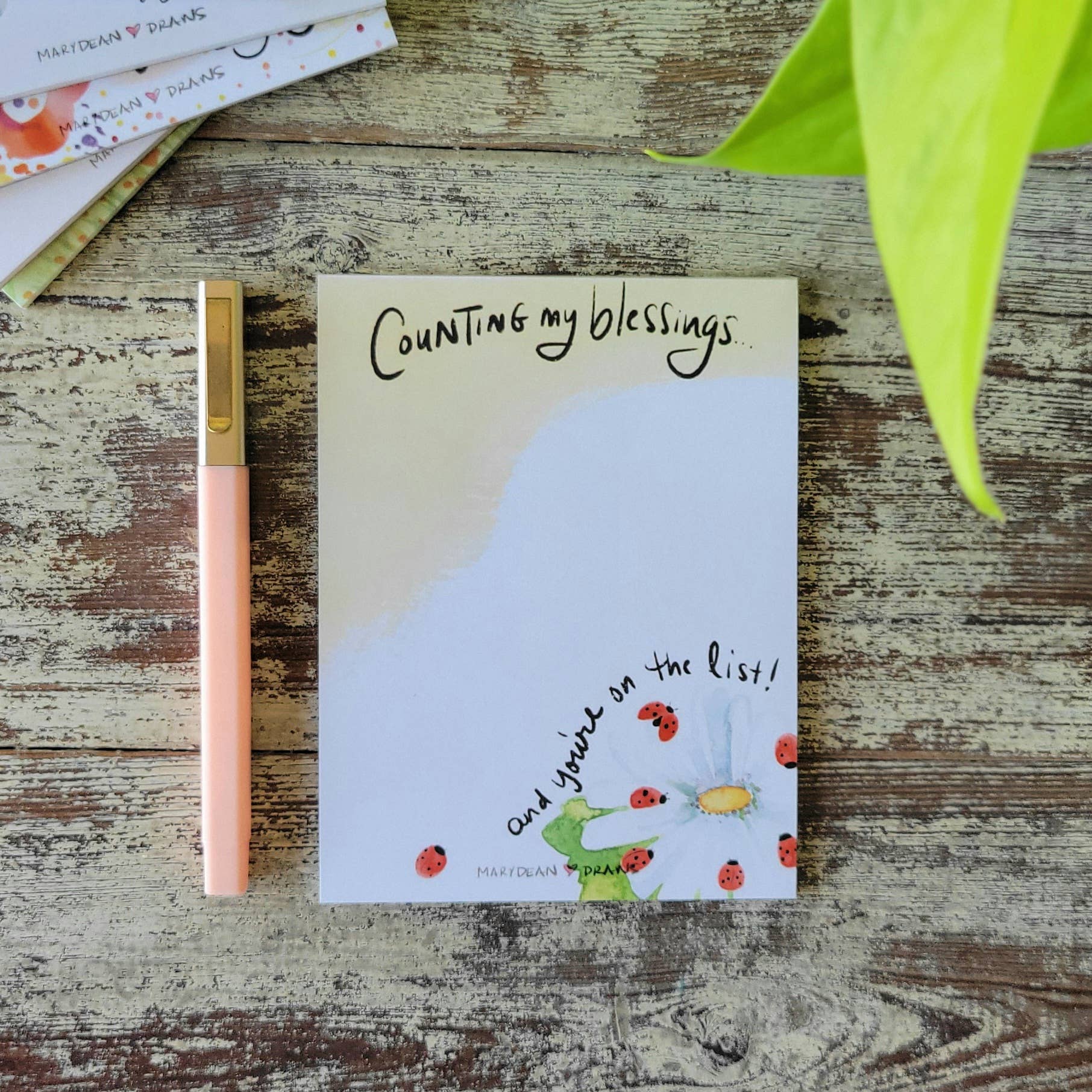 Marydean Draws – Großhandel Notizblöcke – Ermutigender Notizblock „Ich zähle meinen Segen“1