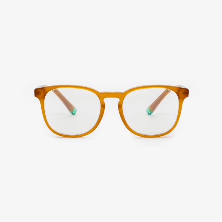 Chelsea Walnuss Formuliert für den Großhandel von Sajú