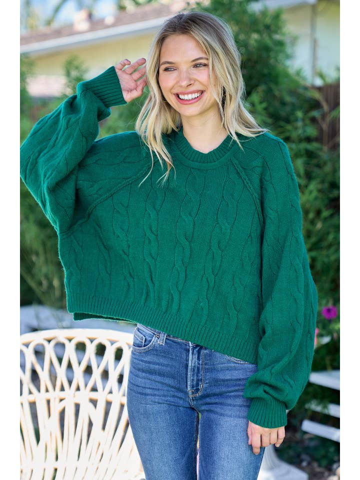 Nicabel - Wholesale Knit Sweater - Women's - Plus raglan sleeve cable knit sweater-PSW94196