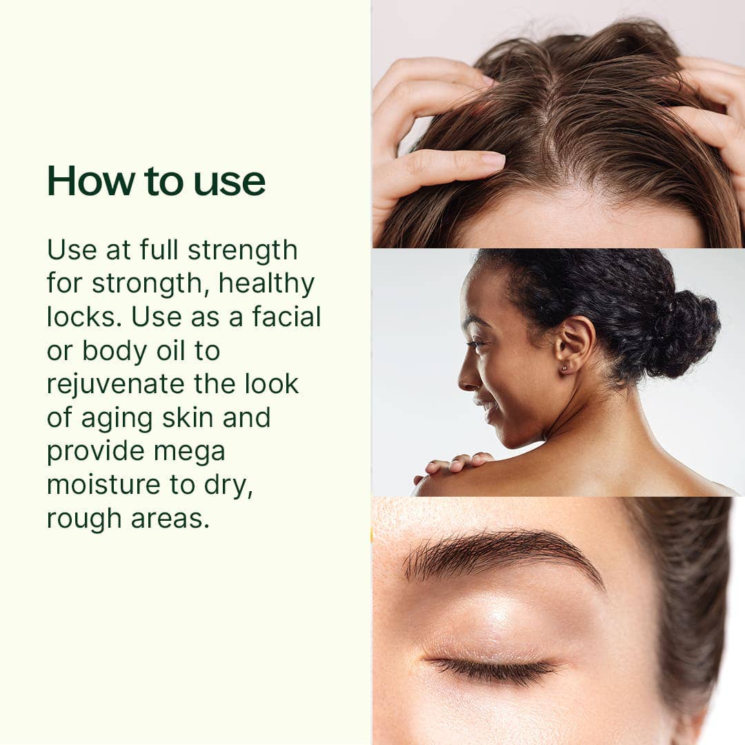 Plant Therapy - Wholesale Bath/Body Oil - Organic Argan Carrier Oil 16 oz2