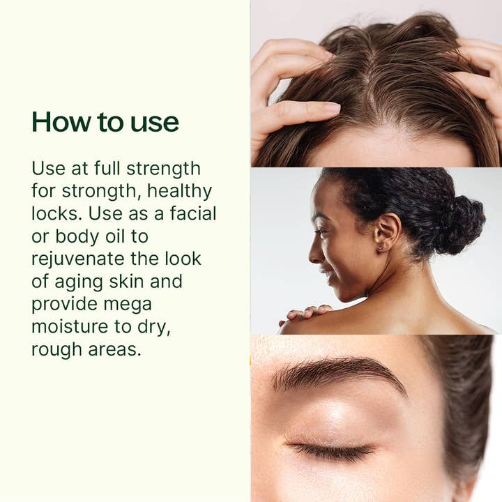 Plant Therapy - Wholesale Bath/Body Oil - Organic Argan Carrier Oil 16 oz2