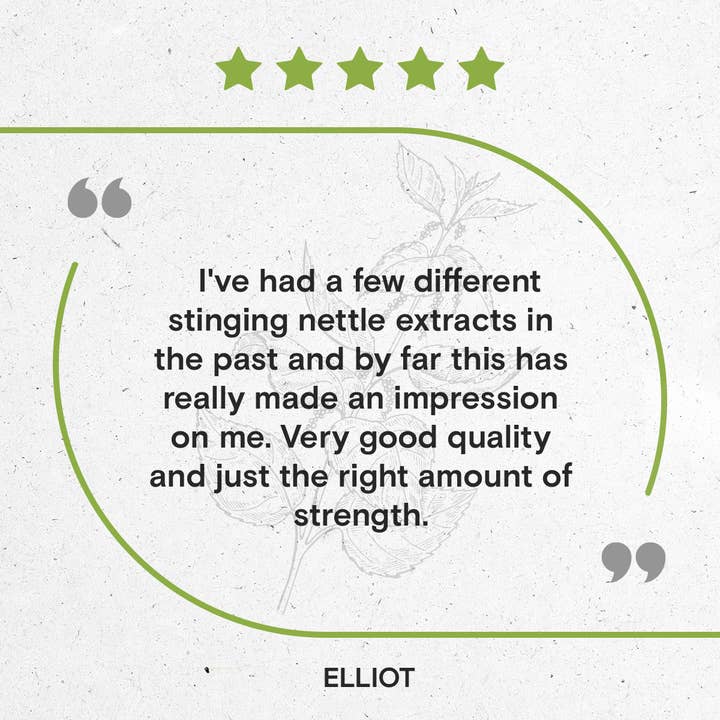 Secrets Of The Tribe - Wholesale Tincture - Stinging Nettle Leaf Tincture6