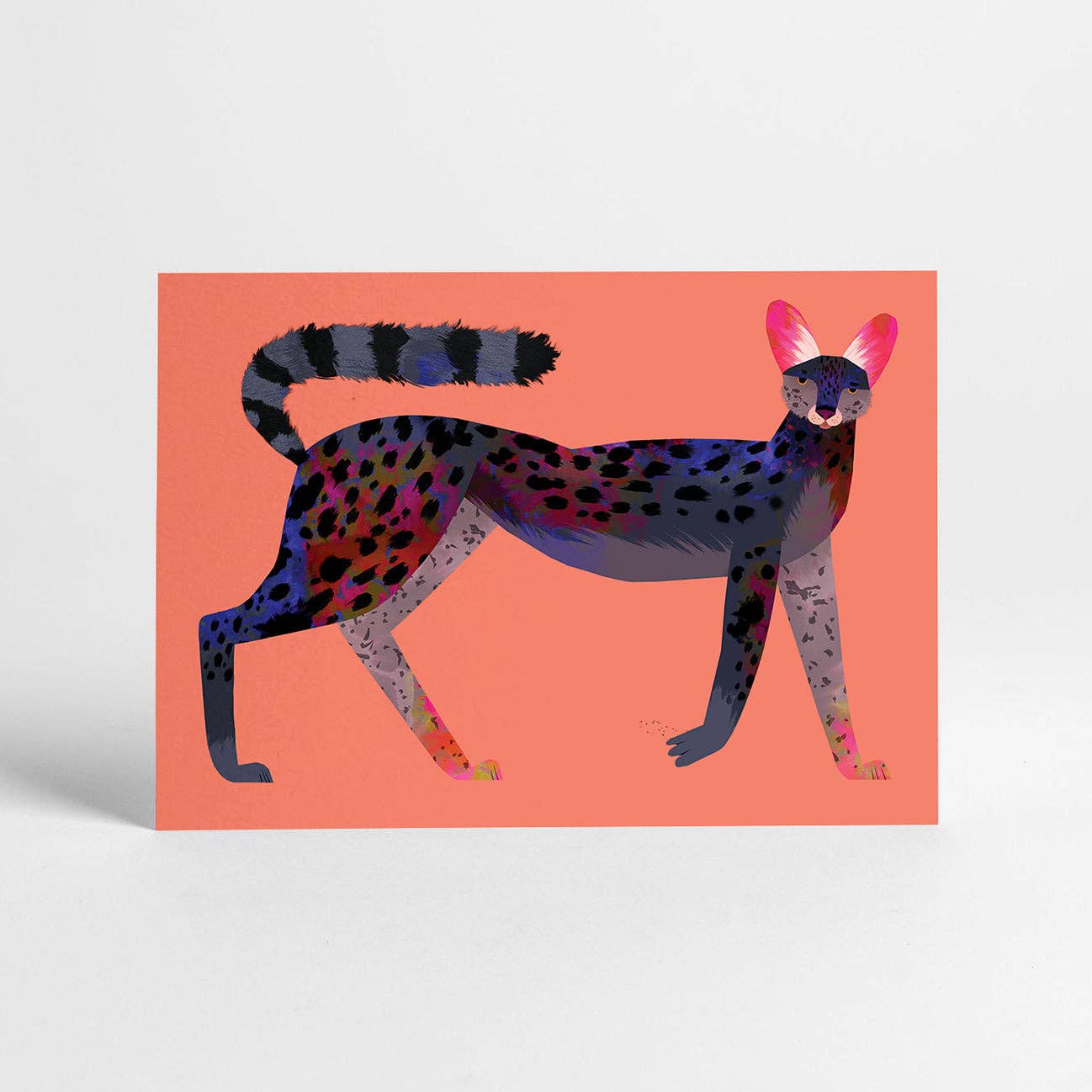 Sunny Beast - Venta al por mayor Juego de postales - 20 postales | Set en caja17