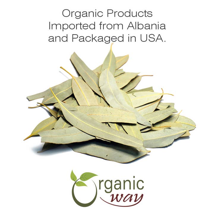 Organic Way LLC - Wholesale Loose tea - Eucalyptus Leaf Whole (Eucalyptus globulus) - Herbal Tea | European Wild-Harvest | Kosher & USDA Certified | Vegan, Non-GMO & Gluten Free | 100% Raw from Albania1