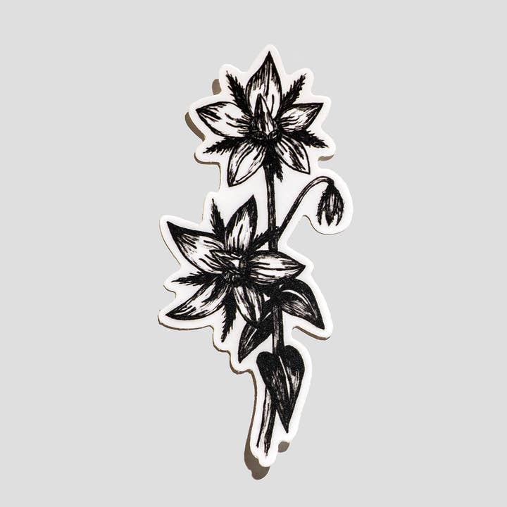 Autocollant en vinyle premium Fleur de Bourrache 4,5" x 2,25" pour la vente par Velvetback