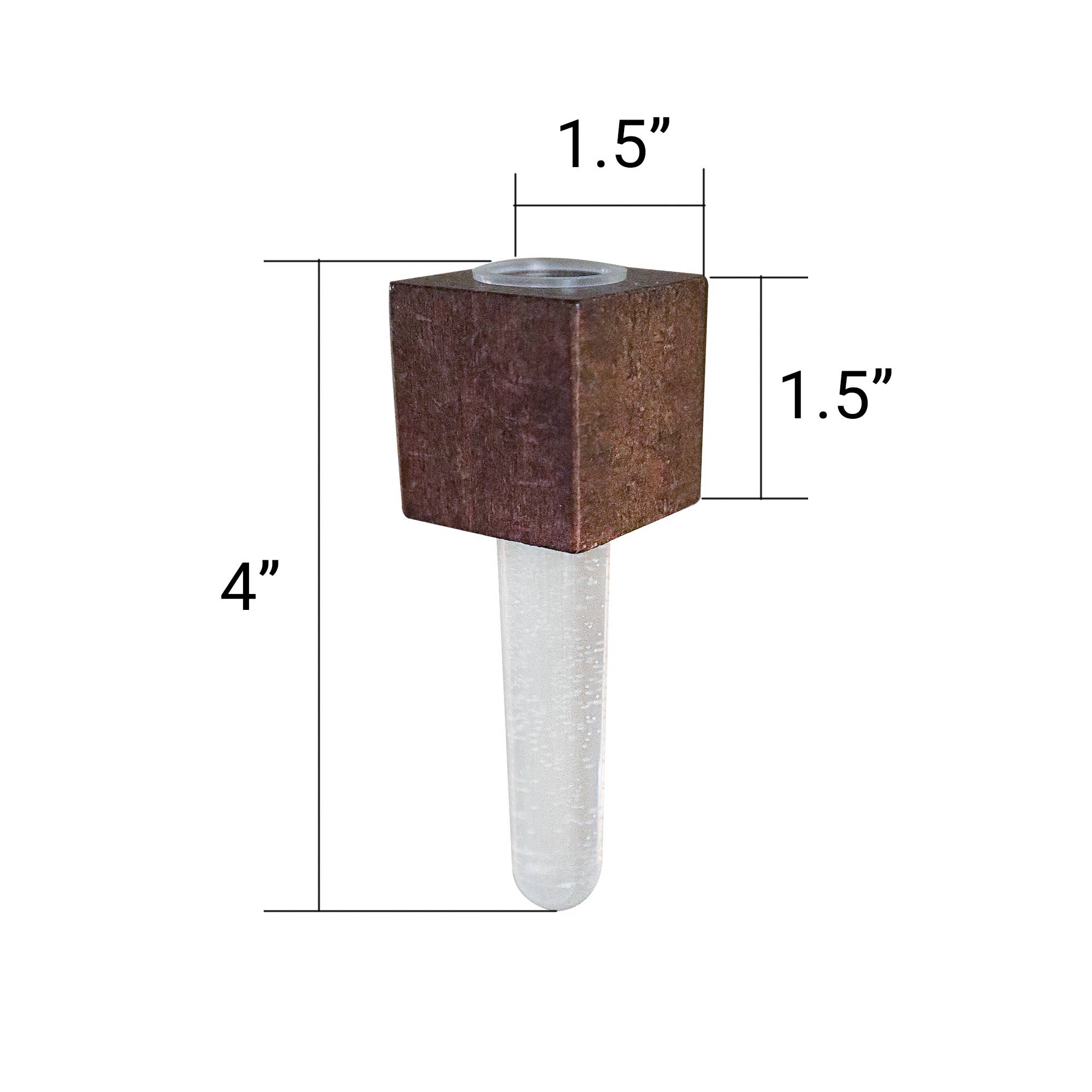 Kitsville - Vendita all'ingrosso Calamite - Mini vasi magnetici – Set di 2 – Magneti decorativi per frigorifero2