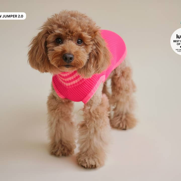 THE GLOW JUMPER 2.0 (Pink Parade) for wholesale by lumiies - high visibility