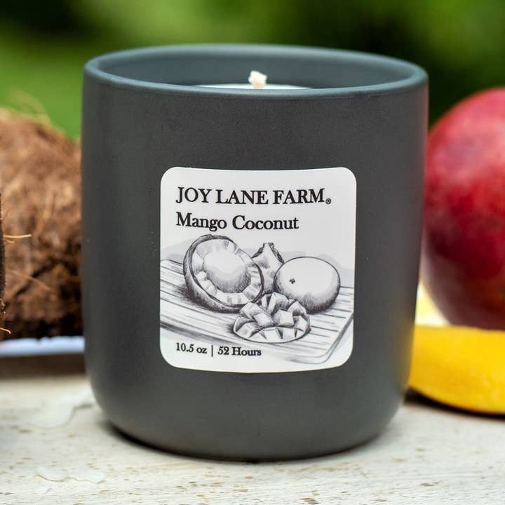 Candela in ceramica Mango Coconut per la vendita all'ingrosso da parte di Joy Lane Farm