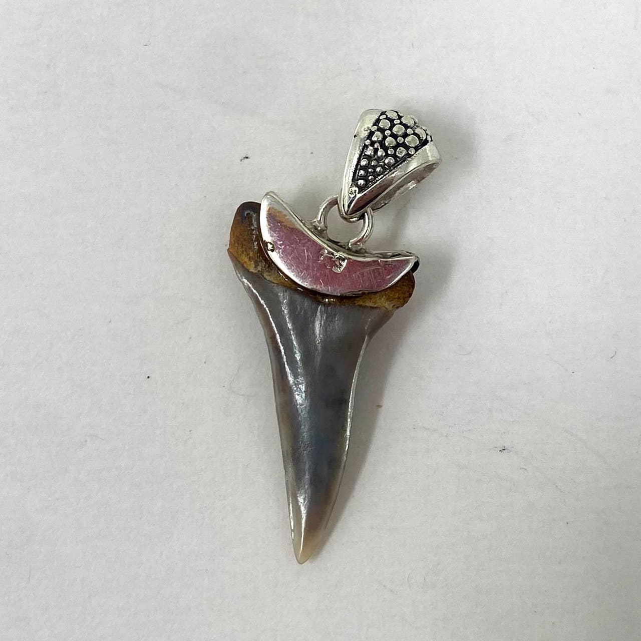 Kathmandu Jewelry - Wholesale Pendant/Charm Necklace - Sterling Silver Megalodon  Pendant3
