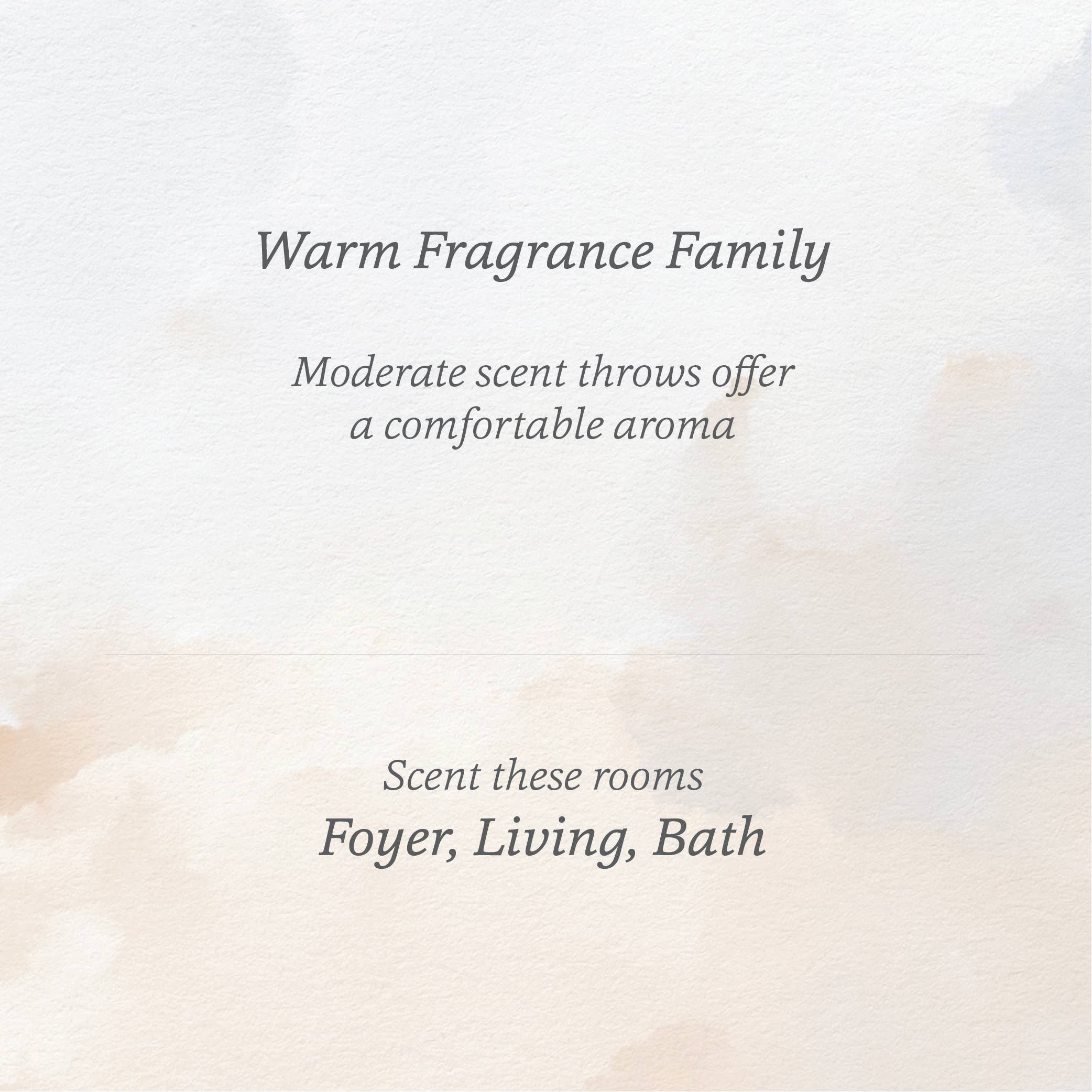 Herland Home - Wholesale Jar/Filled Candle - Heirloom 3.4oz Small Fine Fragrance Holiday Amber Jar Candle1