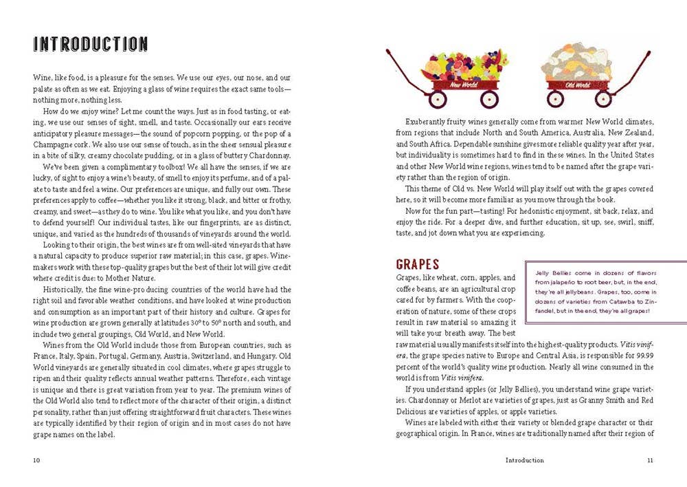 W. W. Norton - Wholesale Mixology & Beverage - Ten Grapes to Know: The Ten and Done Wine Guide2