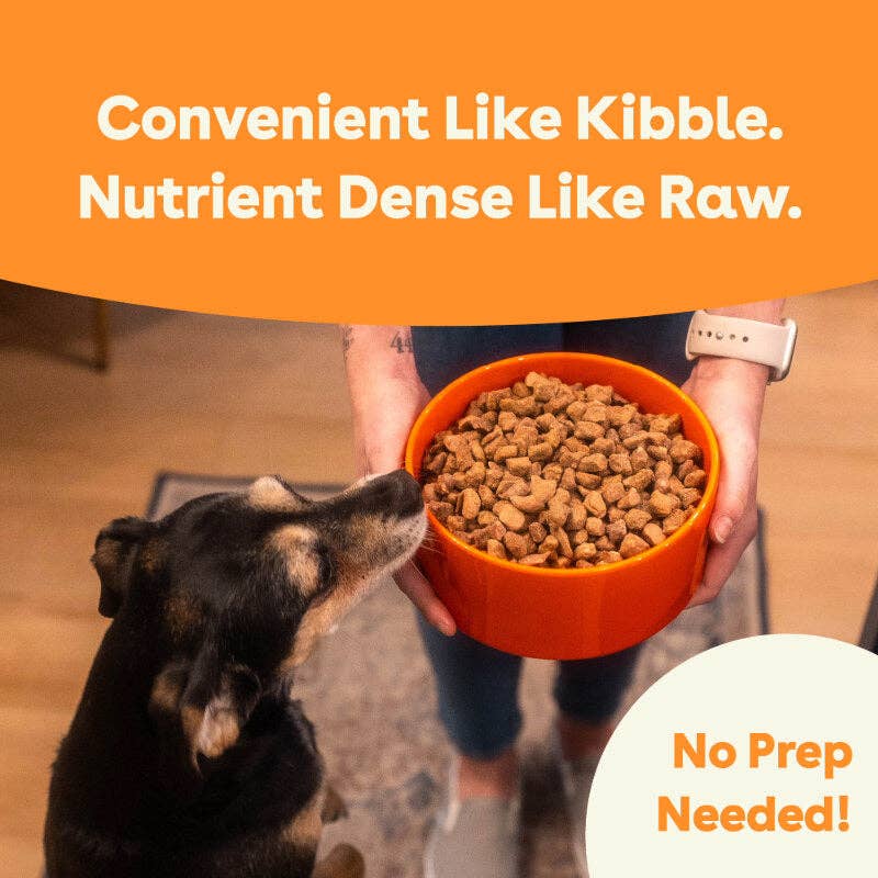 Pupford - Wholesale Pet Food - Dog - Freeze-Dried Raw Dog Food - Chicken Recipe7