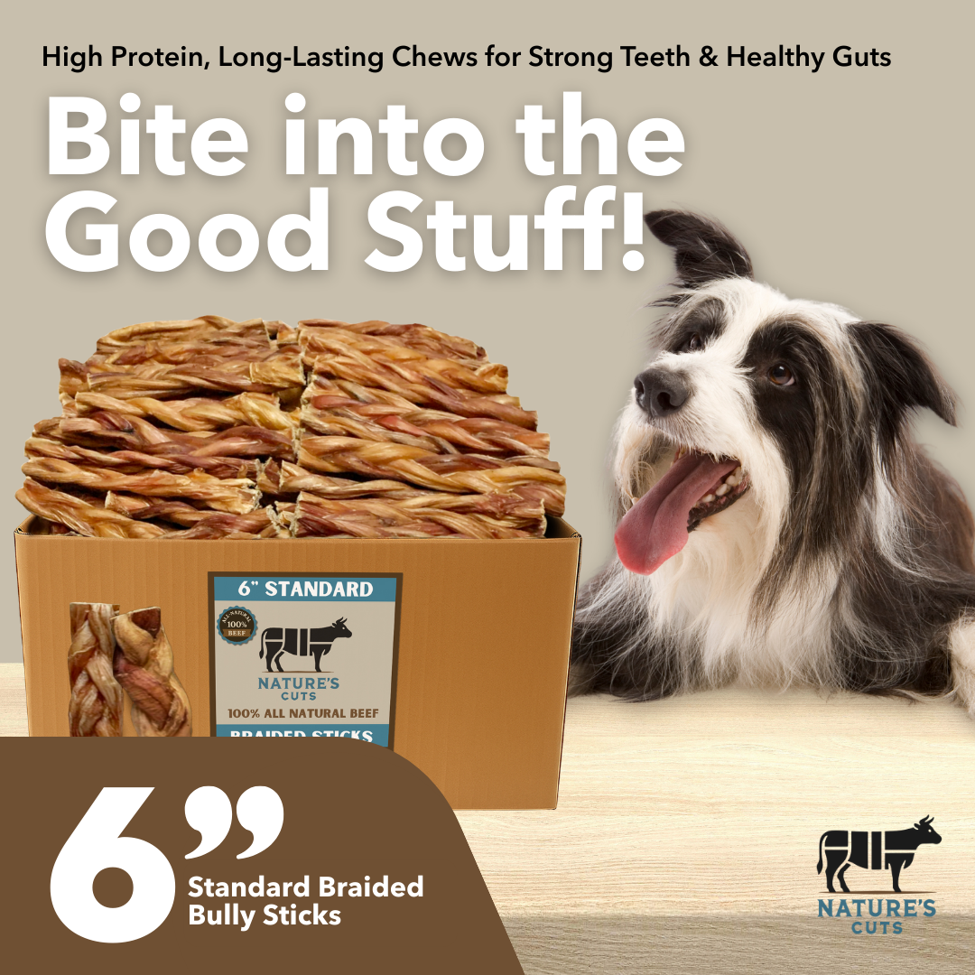 Mighty Chewz - Wholesale Pet Treats - Dog - 6" Standard Braided Bully Sticks ($1.84/ stick)1