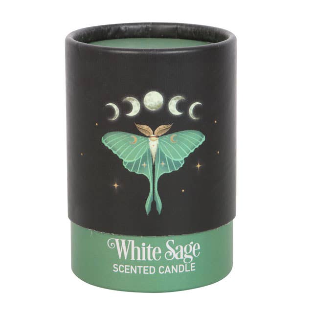 Something Different Wholesale - Wholesale Jar/Filled Candle - Luna Moth White Sage Candle4