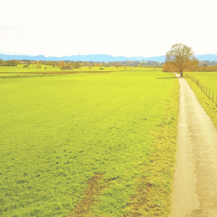 Alexandra Hale Collection for wholesale by Jibbly