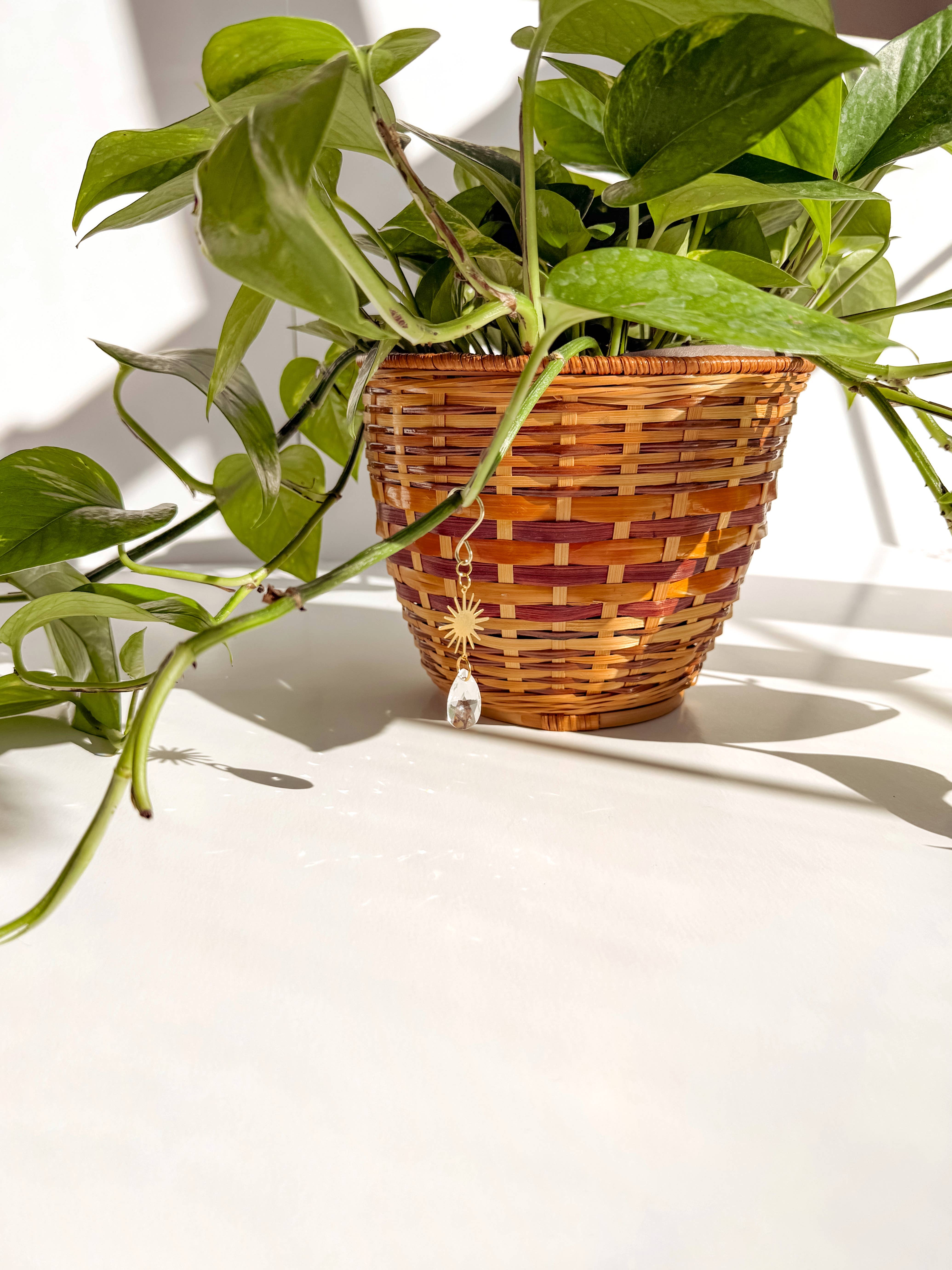 Meraki The Studio Co. - Wholesale Suncatcher - Plant Charm | Suncatcher + Sun | Houseplant Accessories6