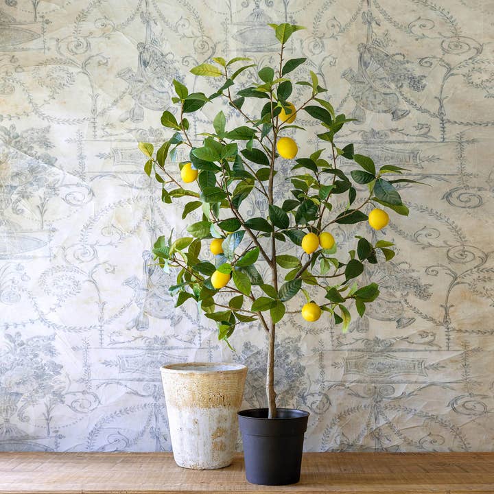 Park Hill Collection - Wholesale Artificial Plant - Lemon Tree in Plastic Pot