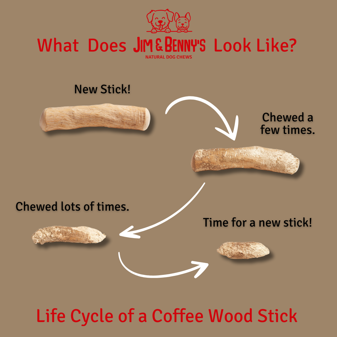 Jim and Benny's - Wholesale Pet Chew Toy - Dog - Coffee Wood Chews for Dogs7