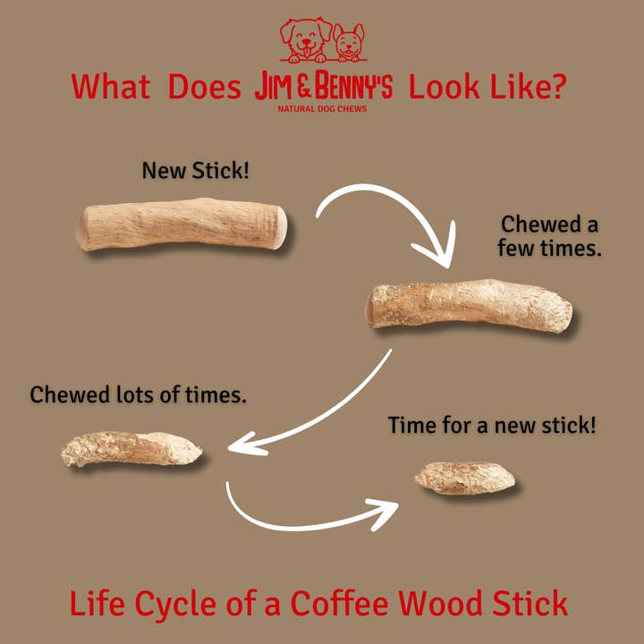 Jim and Benny's - Wholesale Pet Chew Toy - Dog - Coffee Wood Chews for Dogs6