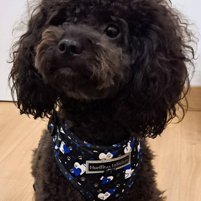 HUELLITAS INFINITAS - Wholesale Tuig voor huisdieren - Hond - Fantasy Hearts verstelbaar harnas8