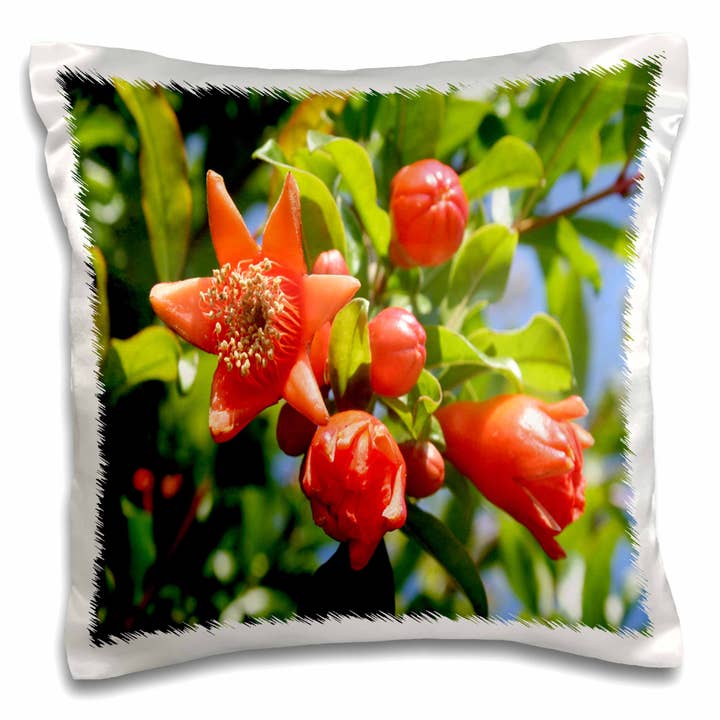 3dRose, Fleur de Grenadier -grenade, punica granatum, arbre, fleur, fleur rouge, botanique, gros plan, Taie d'oreiller pour la vente par 3dRose