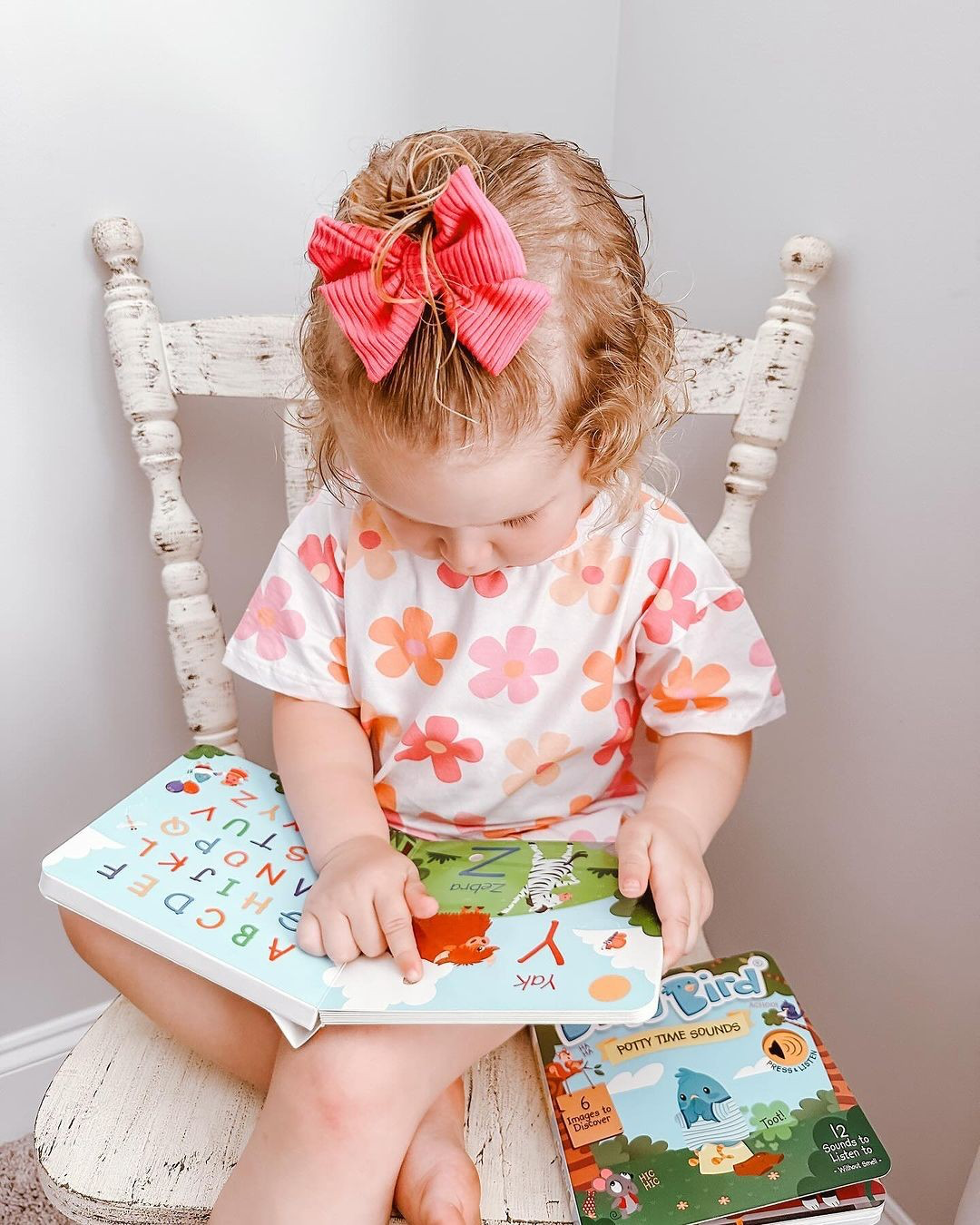 Ditty Bird - Wholesale Baby & Toddler Book (0-2) - Fun Alphabet | ABC Song | Ditty Bird Baby Sound Book USB-C9