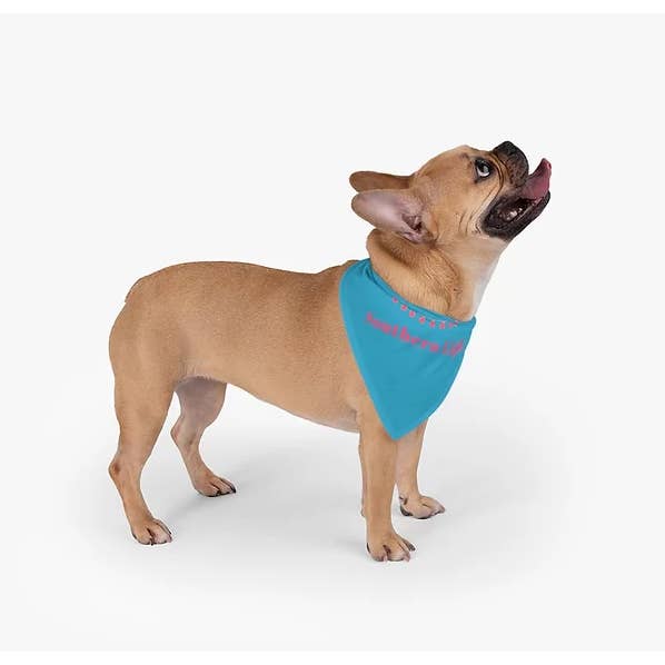 Pet Bandana for wholesale by Southern Light