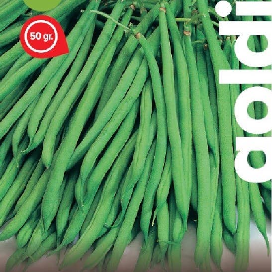 Sementi & Barbatelle – wholesale Bönor – Buskböna Mangiatutto Linera