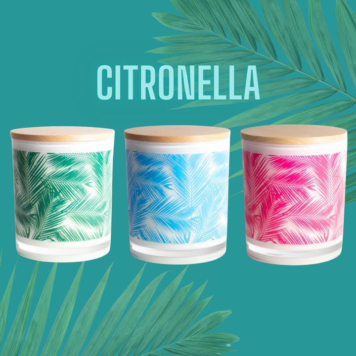 Citronella Palm Leaf Soy Candle for wholesale by Unplug Soy Candles