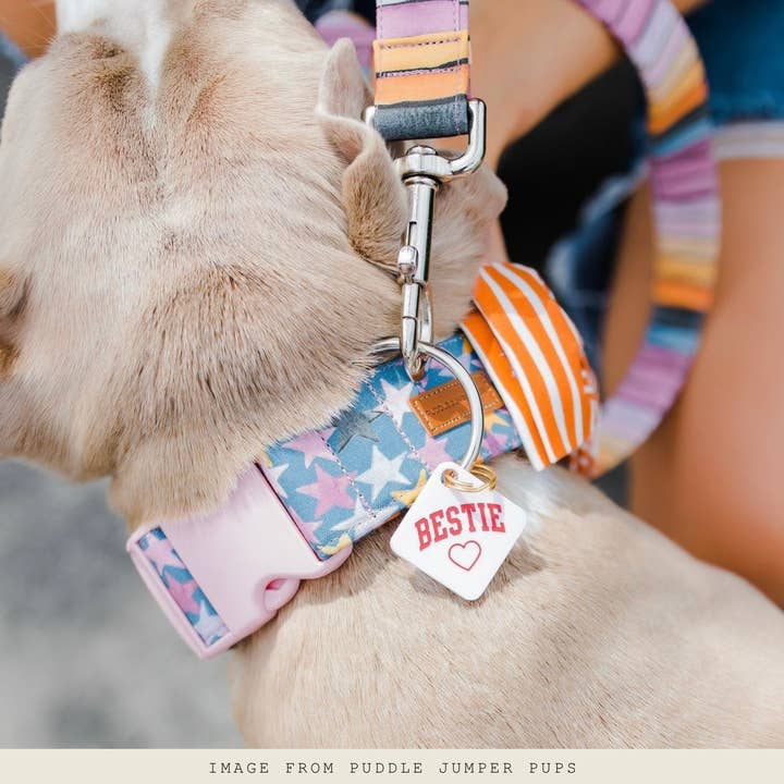 Freshwater Curated Goods - Wholesale Pet Identification Tag - Cat/Dog - Bestie Pet Tag