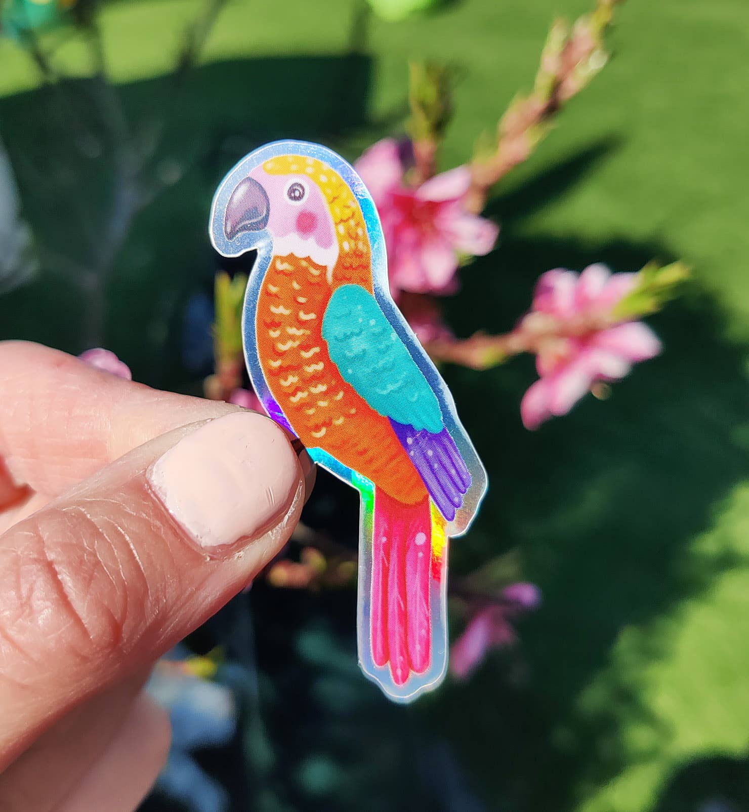 Aniet Illustration - Wholesale Sticker - Sticker parrot animal nature holographic vinyl0