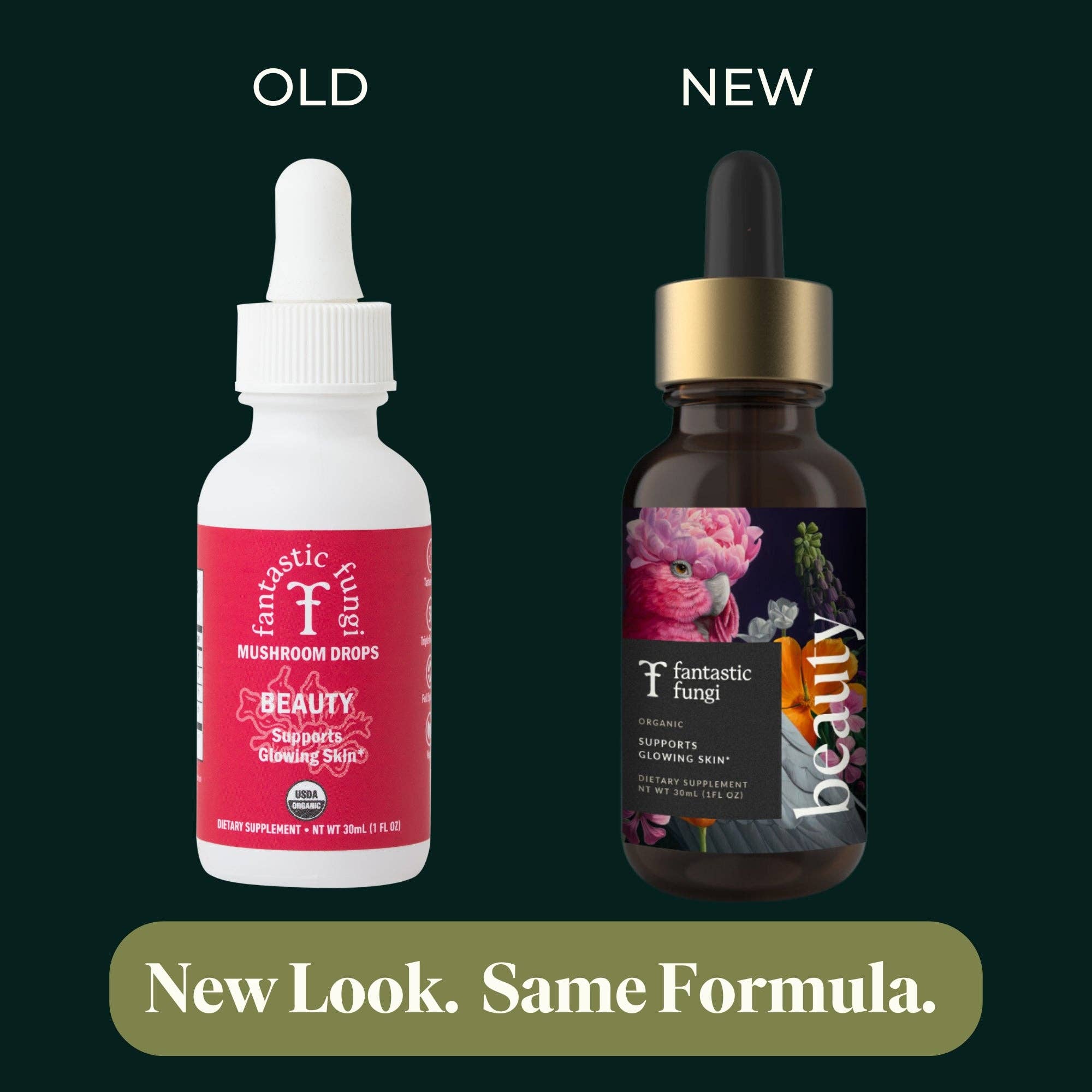 Fantastic Fungi - Wholesale Elixir - Beauty Elixir2