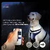 DC's LED's – wholesale Pet collar – Dog – Pet Flashlight3