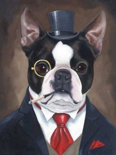 Boston Terrier, American Gentleman, Dog Art Print for wholesale by Brian Rubenacker studios