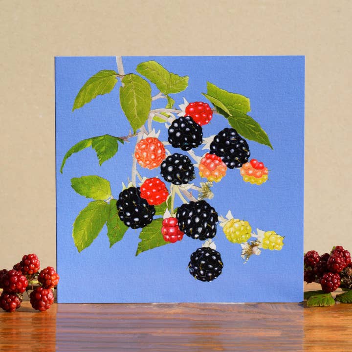 Windsock Press – wholesale Everyday greeting card – Blackberries (fruit cards) 1