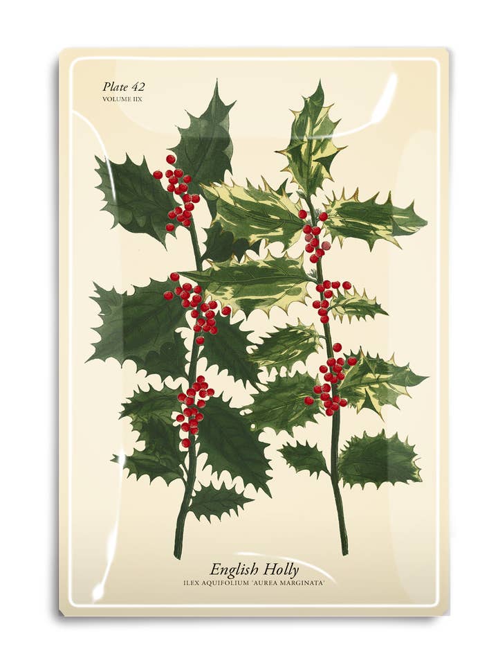 Englische Stechpalmenzweige Decoupage-Glasplatte für den Großhandel von Ben's Garden