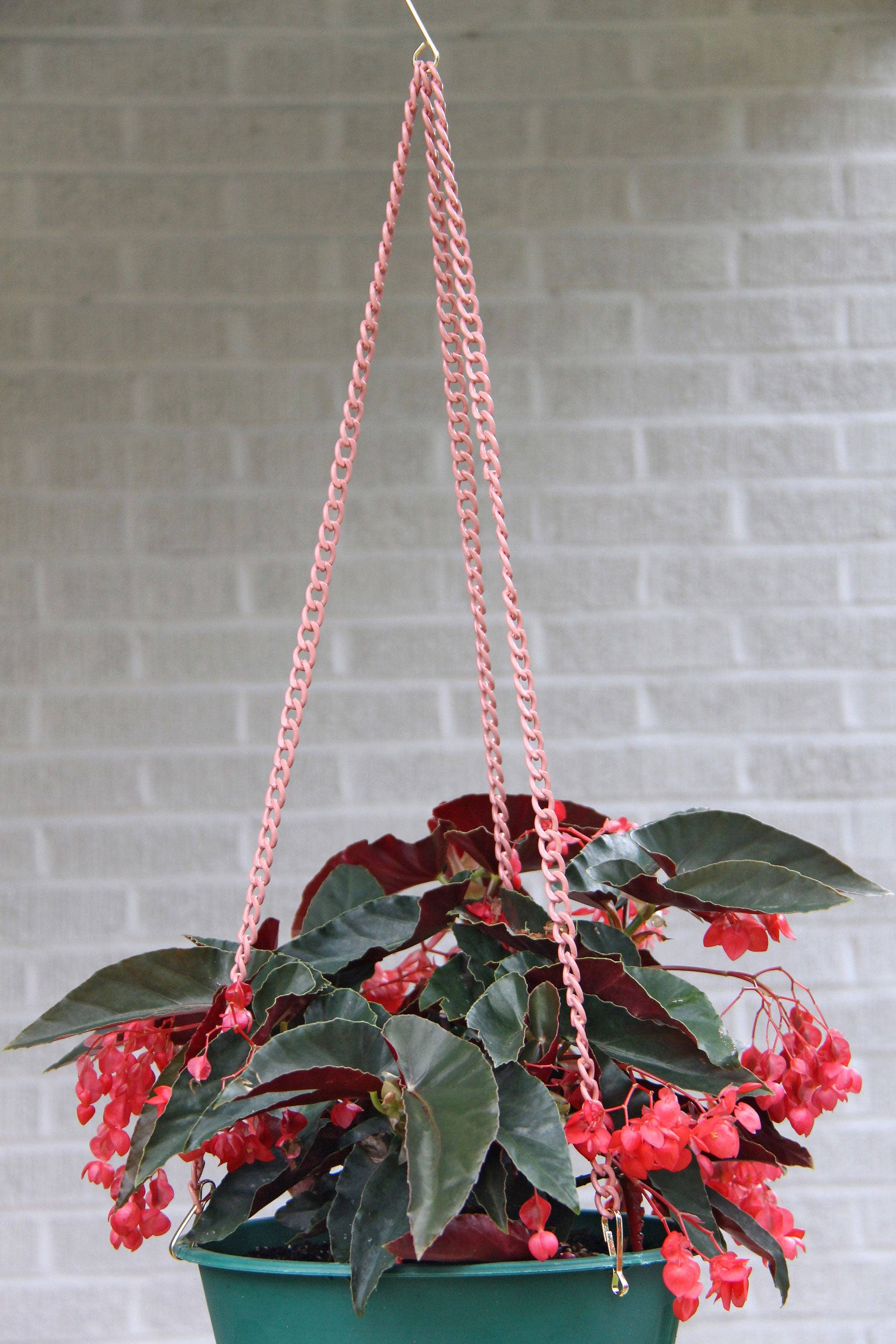 Woman Shops World - Wholesale Hanging Planter - Colorful Enamel Hanging Basket Plant Chain8