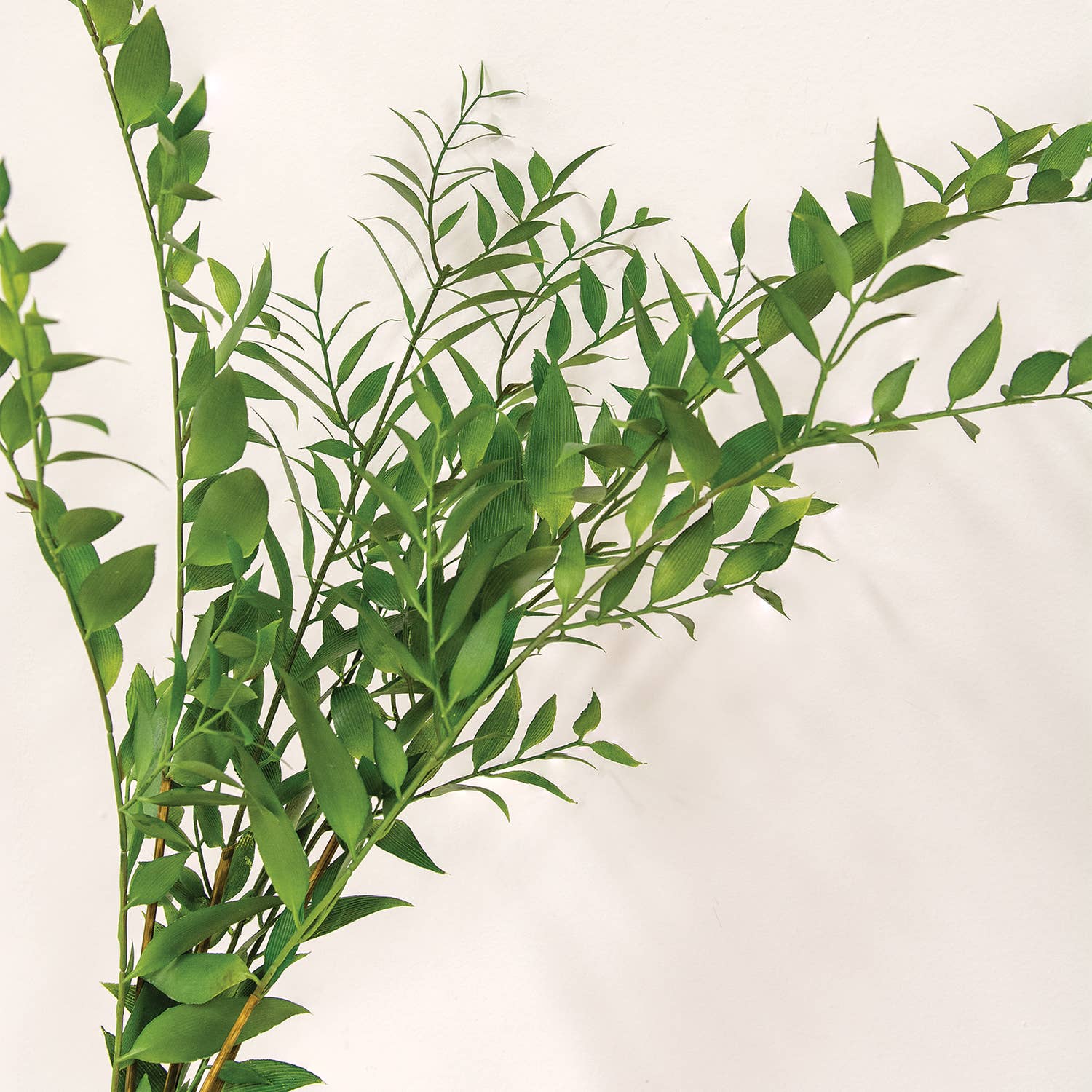 Saybrook Lane - Vendita all'ingrosso Piante artificiali - Vibrant Smilax Branch - 30"2