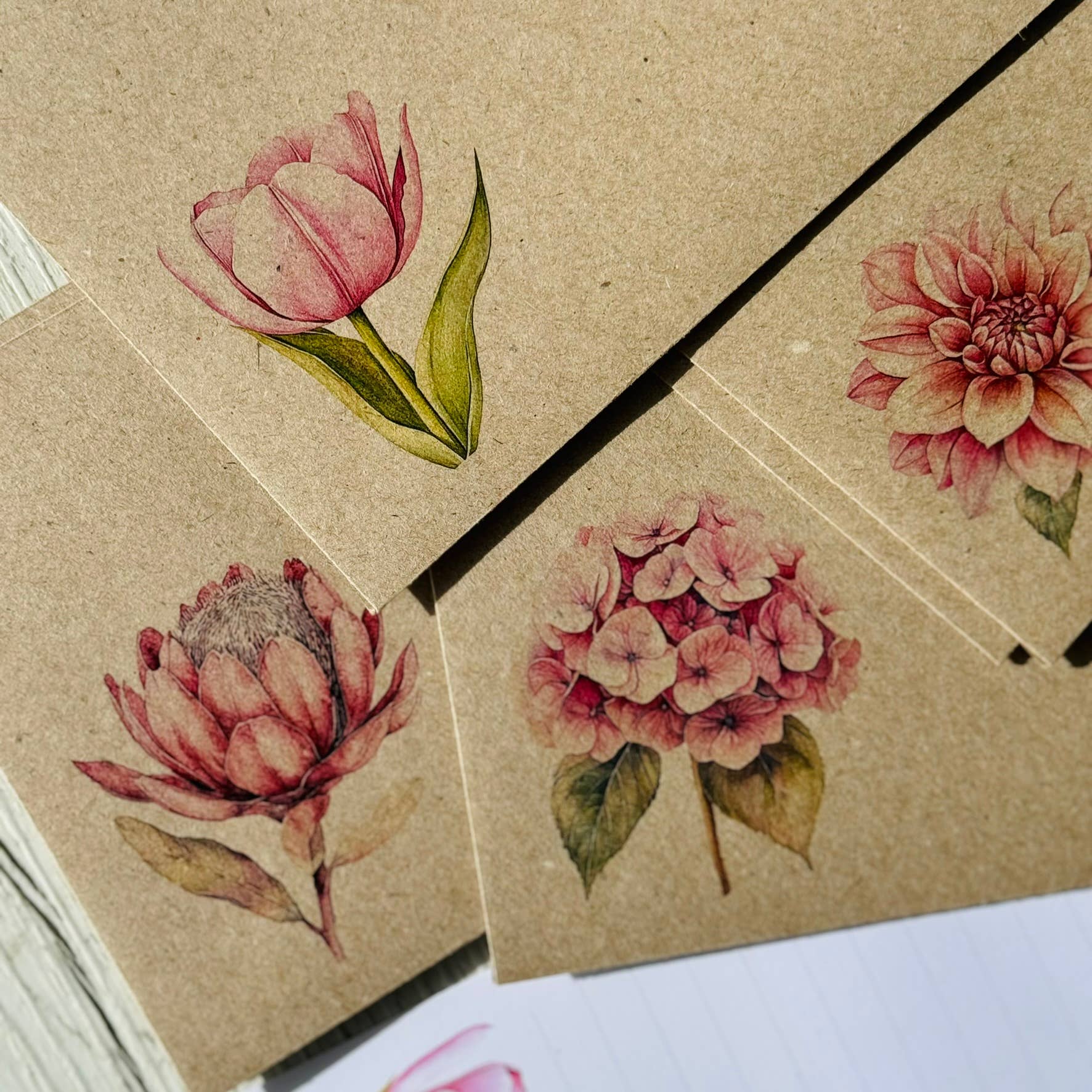 Scattered Seed Co - Vente Assortiments de papeterie/cartes - Ensemble de papier à lettres FLEURS ROSES2